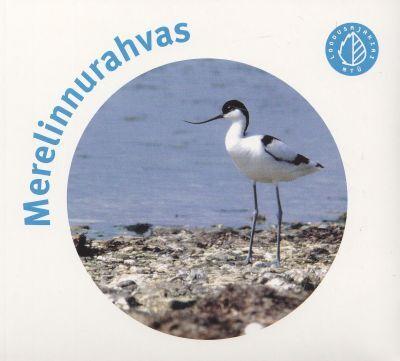MERELINNURAHVAS CD