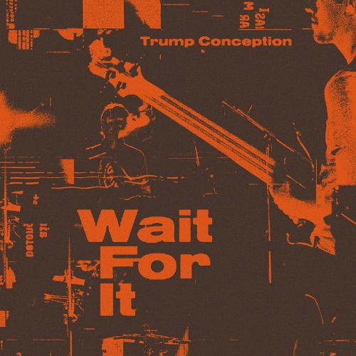 TRUMP CONCEPTION - WAIT FOR IT (2017) CD